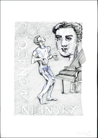 2005 NIJINSKY, Projets refusés