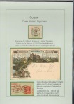 1880-1910, Fascinating LOCAL POST mint and used collection