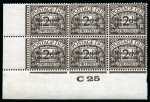 POSTAGE DUES: 1926-61 Collection incl. control blocks