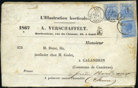 Stamp of Belgium » Belgique. Léopold 1er - Nouveau Type - Affranchissements mixtes, composés, etc. 20c bleu en affranchissement mixte avec 2c Petit L