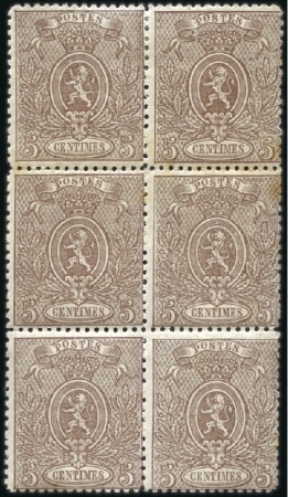 Stamp of Belgium » Belgique. 1866-67 Petit Lion - Émission 5c brun en bloc de six neuf (paire du haut avec ch