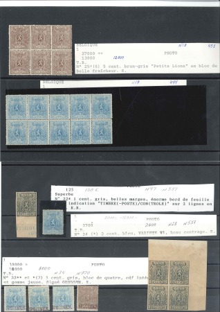 Stamp of Belgium » Belgique. 1866-67 Petit Lion - Émission Lot de diverses pièces dont 1c non dentelé en bloc
