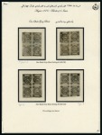 1876 1 Shahi black, imperforate, unused & used selection neatly mounted written up on five album pages