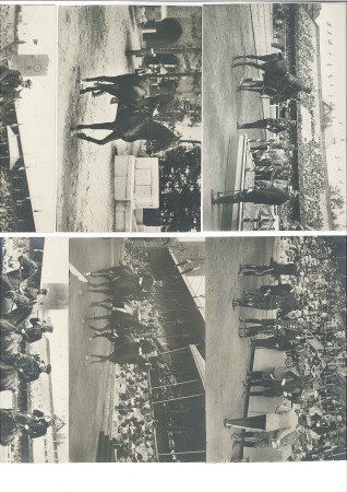 Horse Jumping: Official Granberg postcards, 10 unu