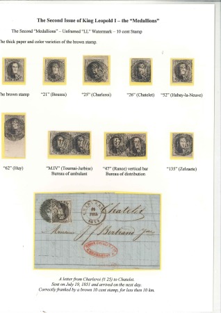 Stamp of Belgium » Belgique. 1851 Médaillons (filigrane sans cadre) - Émission 10c Brun, lot sur page d'exposition comprenant un 