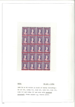 1895 1/2d on 6d violet in mint blocks of 20 and 42