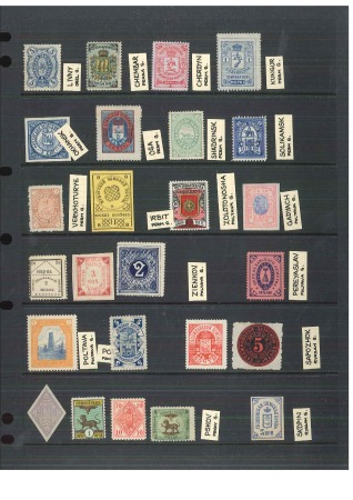 Collection of 90 different zemstvos mounted on stockcards