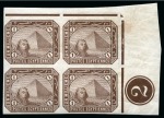 1888-1906 De La rue 1m brown mint imperf. block of four and perf. corner marginal blocks with control number