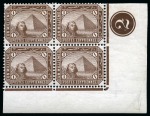 1888-1906 De La rue 1m brown mint imperf. block of four and perf. corner marginal blocks with control number