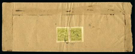 1909-19 1a sage-green, pair used on reverse of native cover, scarce