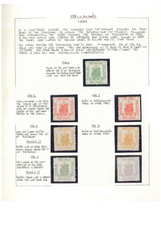 Stamp of Bechuanaland » Stellaland 1884 Mint collection written up on album pages with multiples