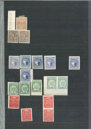 UKRAINE 1918 1st Issue: Specialized collection in A4 stockbook