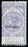 Stamp of Australia » South Australia 1855-1909 Old-time collection on four large hand-drawn album pages incl. Specimens