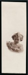 Stamp of Egypt » Commemoratives 1914-1953 1940 Child Welfare Issue group of three essays