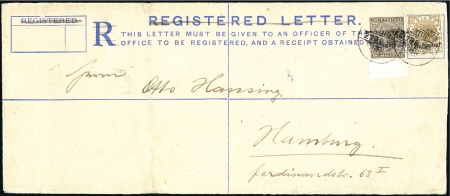 1895 (Nov 22) Large registered envelope with the i