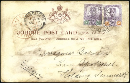 1908 (Oct 1) Official picture postcard of Johore M