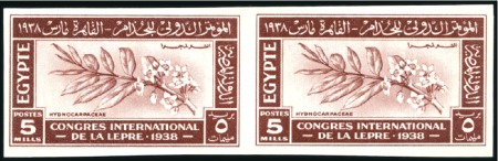 Stamp of Egypt » Commemoratives 1914-1953 1938 International Leprosy Congress 5m red-brown, 