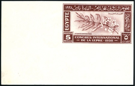 Stamp of Egypt » Commemoratives 1914-1953 1938 International Leprosy Congress 5m imperforate