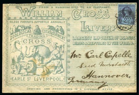 Stamp of Great Britain » Hand Illustrated and Printed Envelopes 1892 William Cross Liverpool - Largest Importer of