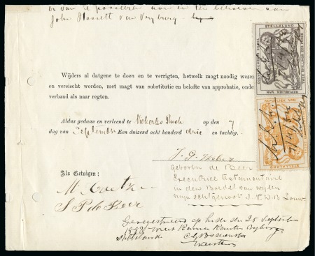 1884 "Special Procurate" revenue document affixed 