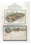1904 St. Louis World's Fair collection written up on 25 pages