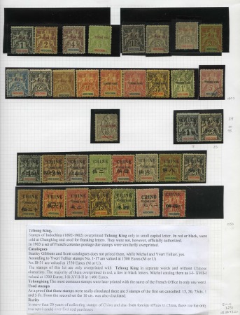 Stamp of China » Collections and Lots 1892-1902 "Tchong King" group on an album page