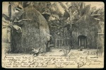 1903 Picture postcard dated "Au Bord du Nile 7/9/03"