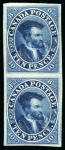 1852-57 10d Blue "Cartier" on machine-made thick wove paper in mint vertical pair, exhibition showpiece