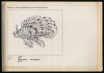 1974 Definitive issue series of 9 preliminary ink drawings of fish by the artist Ernst de Jong in Pretoria made in 1970