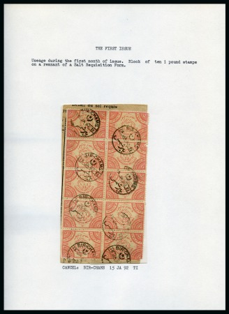 Stamp of Egypt » Revenues 1892 Salt Tax first issue £E1 in block of 10 on piece cancelled by Bir-Chams cds,
