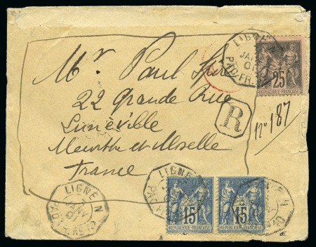 Stamp of France » Type Sage 1886-1901, Ensemble de 2 pages d'exposition sur la