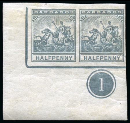 Stamp of Barbados Barbados 1892-1910 Seal of the Colony Issue Imperforate Colour Trial on Gummed Unwatermarked Paper ½d Pair in Grey 