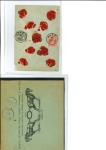 Stamp of Belgium » General issues from 1894 onwards 1905 Grosse Barbe, 50c gris + 10c rose sur lettre assurée , en plus 10c rose sur enveloppe illustrée