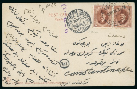 120m. booklet: 5m red-brown, pair from a booklet pane