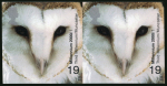 2000 Millennium Projects 19p Owl mint n.h. imperforate pair