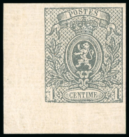 1866, 1c grey mint imperf. lower left corner marginal