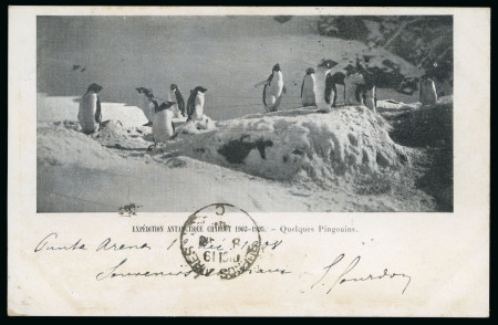 1908 (Dec 13) picture postcard of Penguins, sent from Chile to Argentina by E. Gourdon (geologist